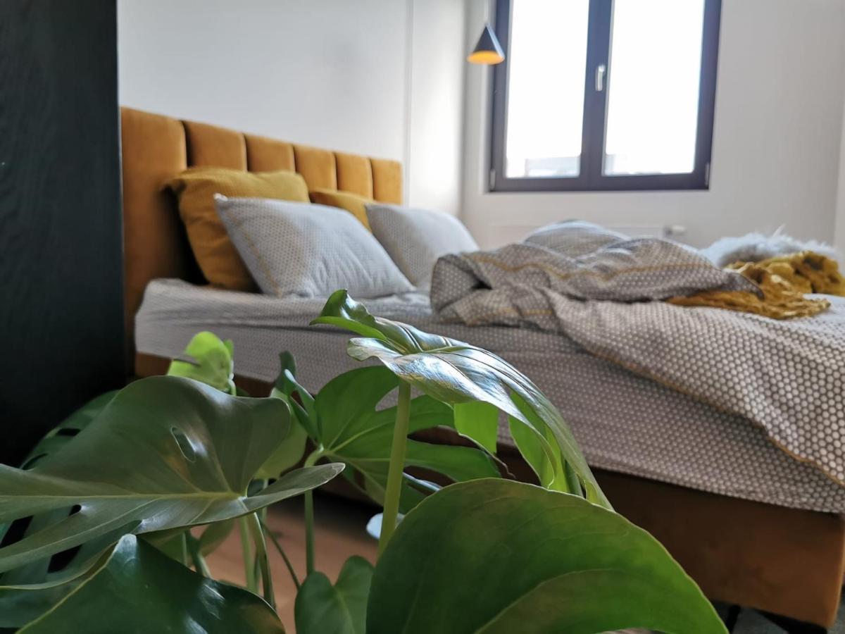 Apartment The Penthouse, Oasis Of Light And Inspiration *